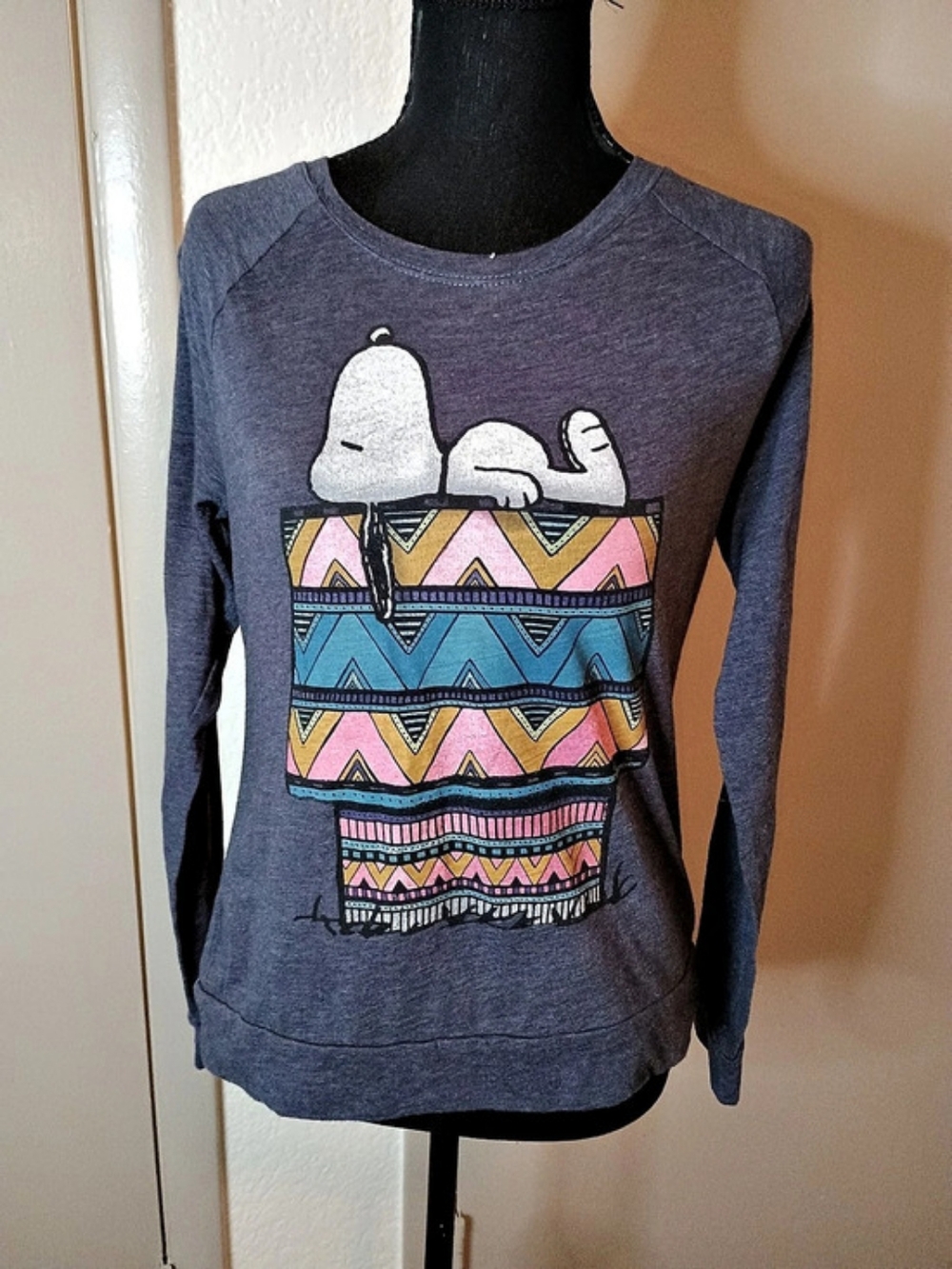 Peanuts Snoopy Geometric Graphic Sweatshirt in Gray Small